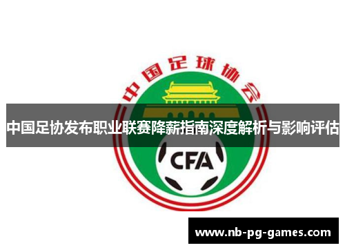 中国足协发布职业联赛降薪指南深度解析与影响评估