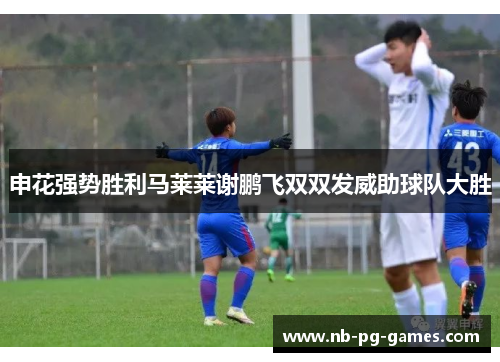 申花强势胜利马莱莱谢鹏飞双双发威助球队大胜